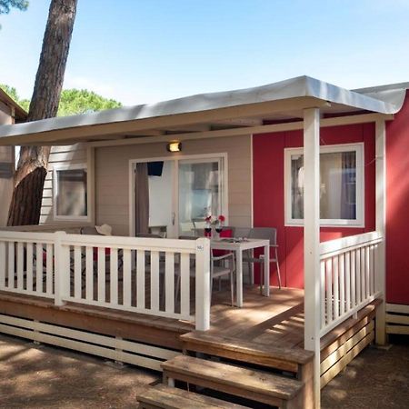 Camping Free Beach Marina Di Bibbona Eksteriør billede