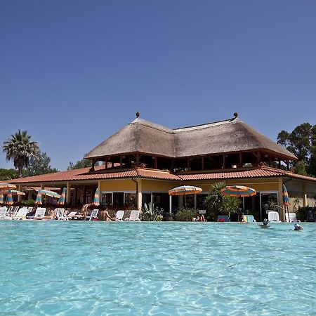 Camping Free Beach Marina Di Bibbona Eksteriør billede