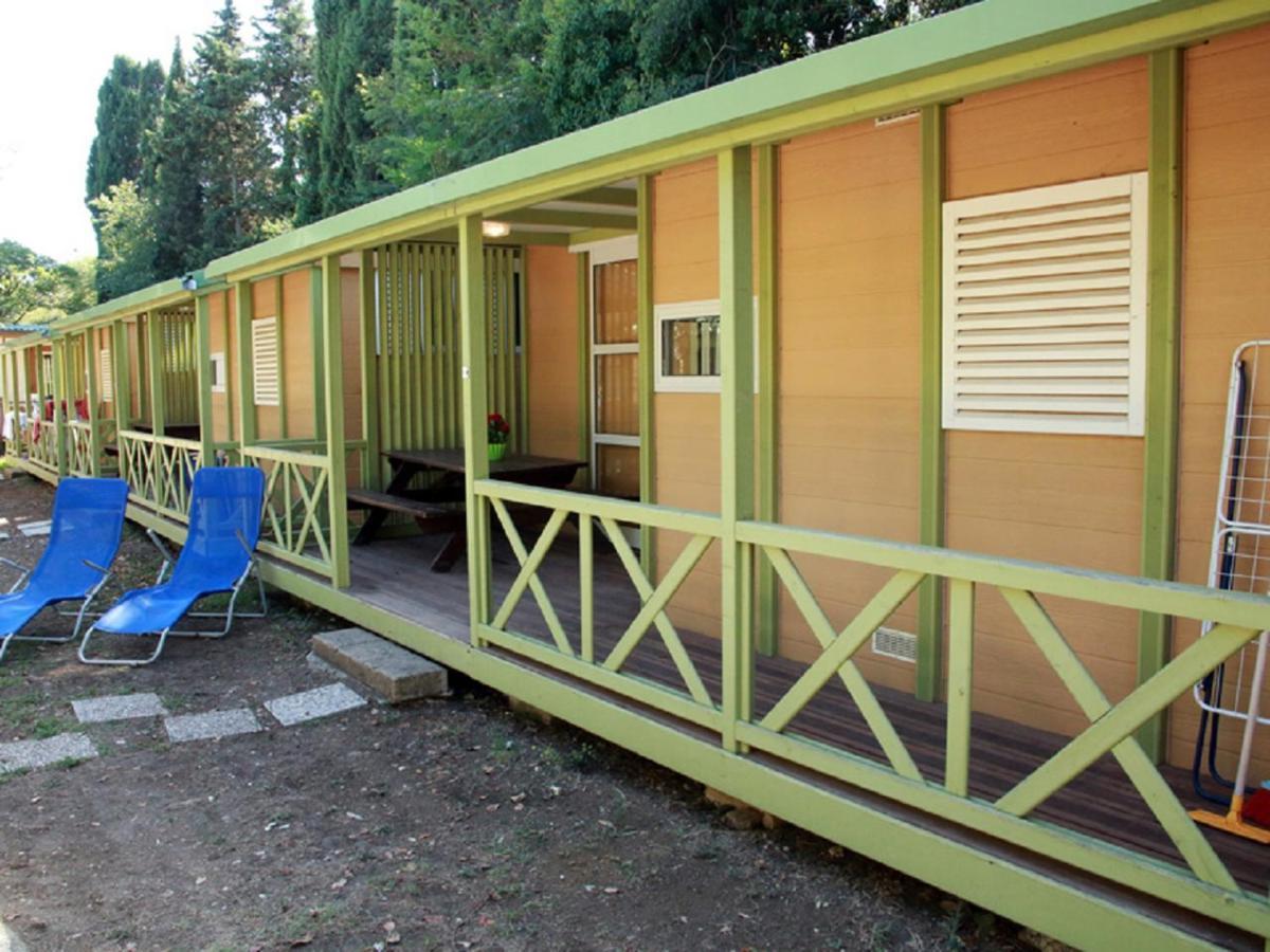 Camping Free Beach Marina Di Bibbona Eksteriør billede