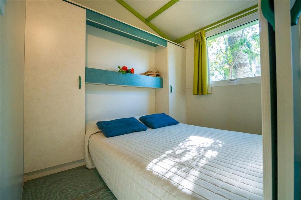 Camping Free Beach Marina Di Bibbona Eksteriør billede