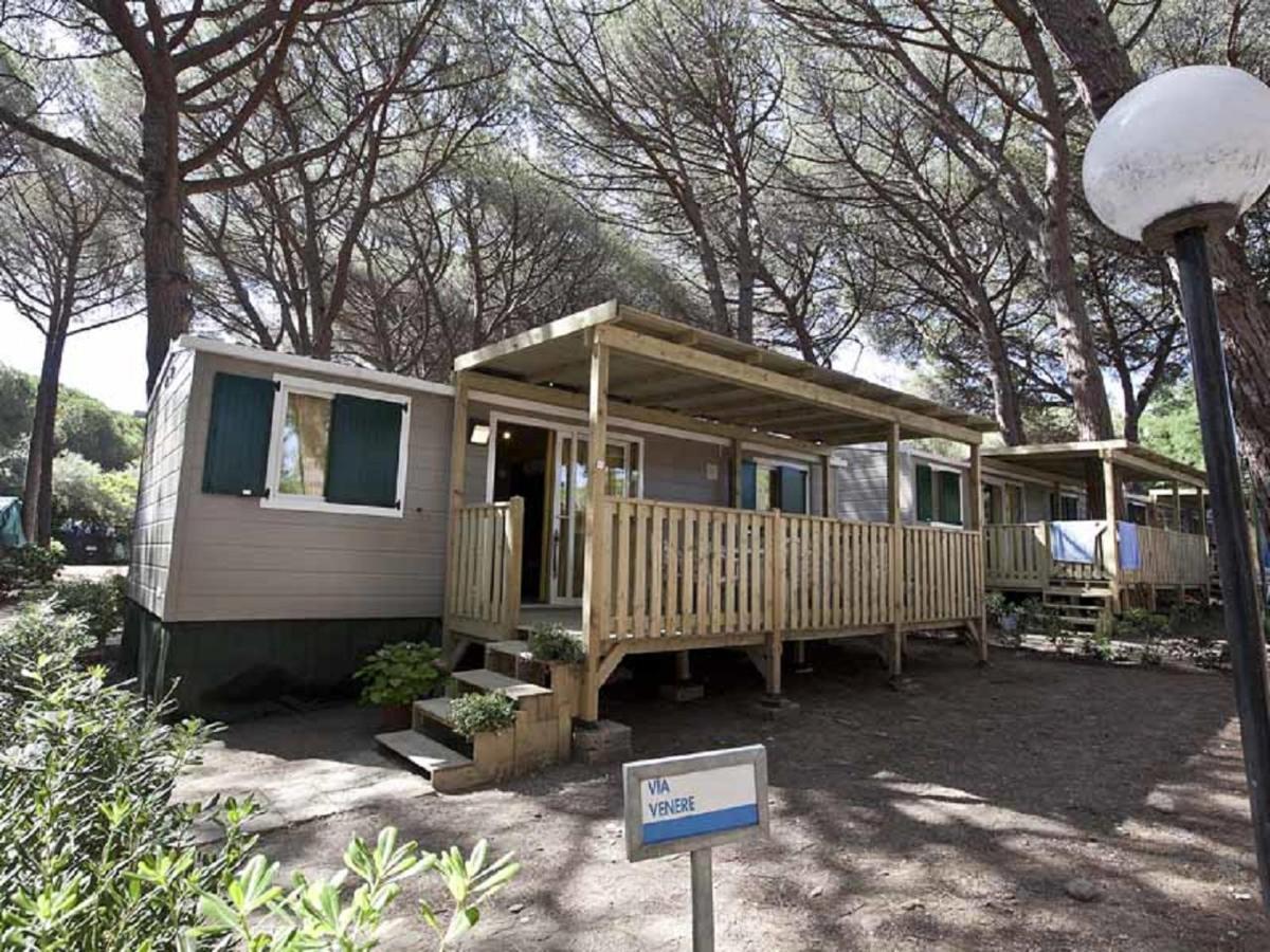 Camping Free Beach Marina Di Bibbona Eksteriør billede